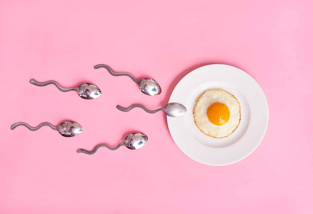 test ovulation suisse
