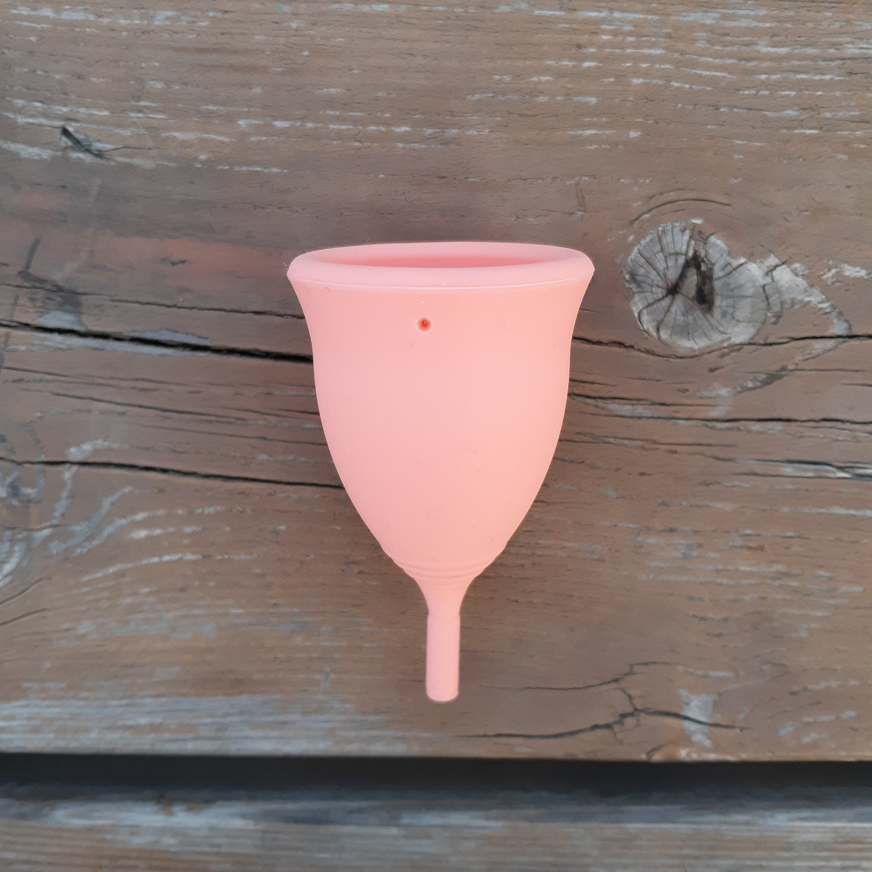 cup menstruelle suisse