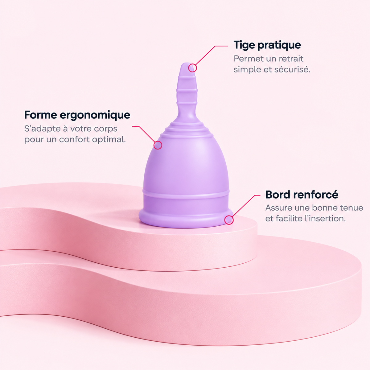 cup règles